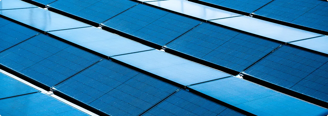 A host of solar panels