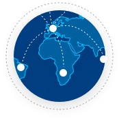 Your domain DNS records are replicated throughout the world