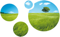 Certifications ISO 14001 et 50001