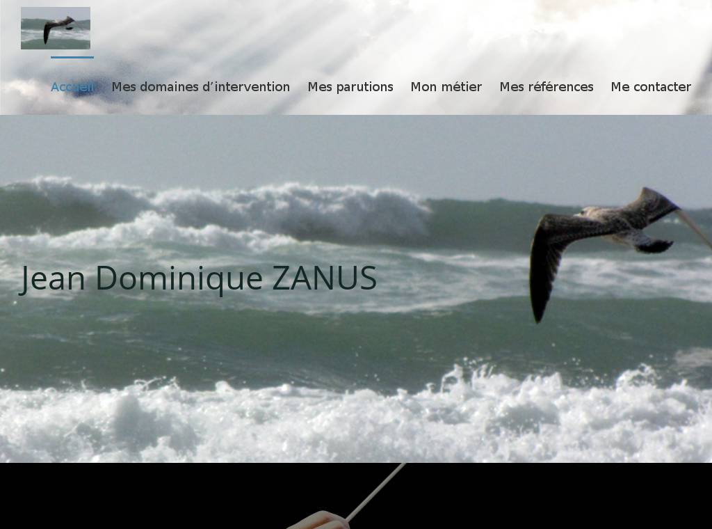 http://www.jdz.fr/