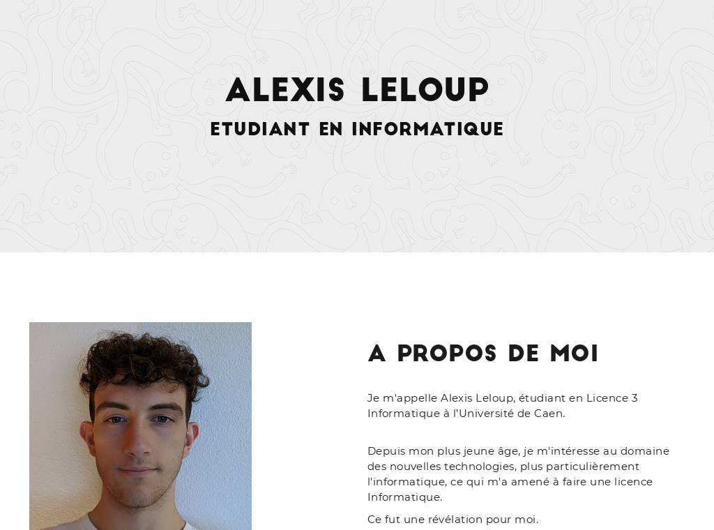 https://www.alexisleloup.fr/