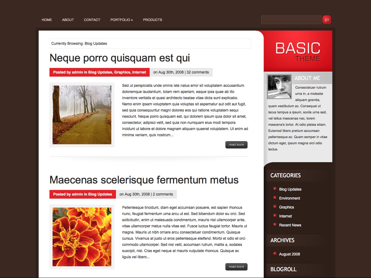 Our WordPress themes - Basic
