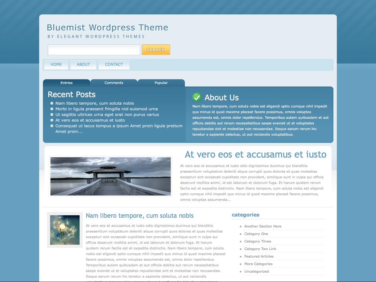 I nostri temi Wordpress - BlueMist