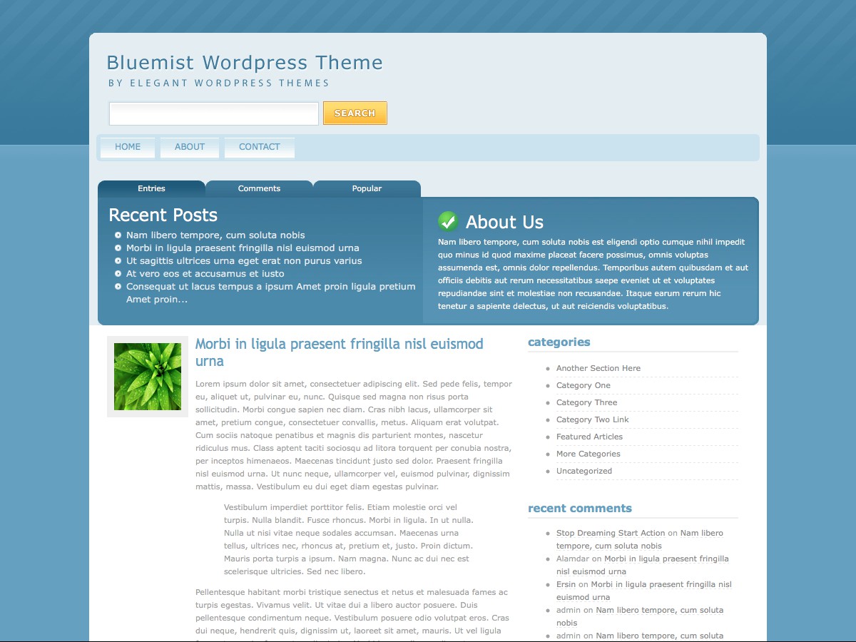 Nos thèmes WordPress - BlueMist