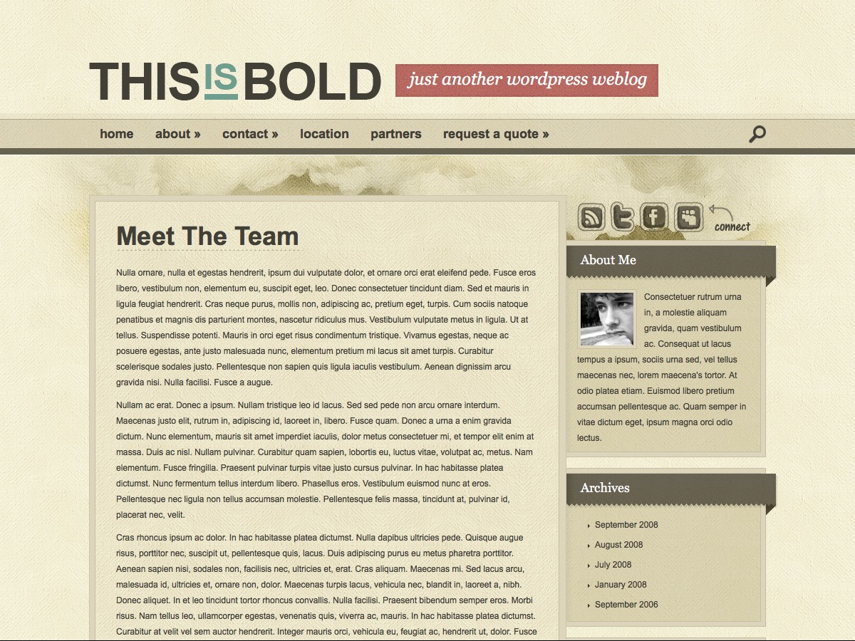 Our WordPress themes - Bold