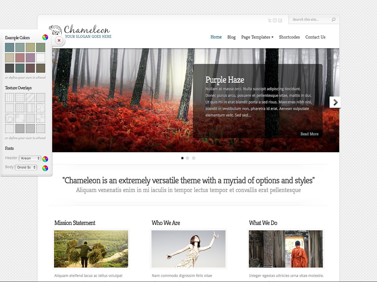 I nostri temi Wordpress - Chameleon
