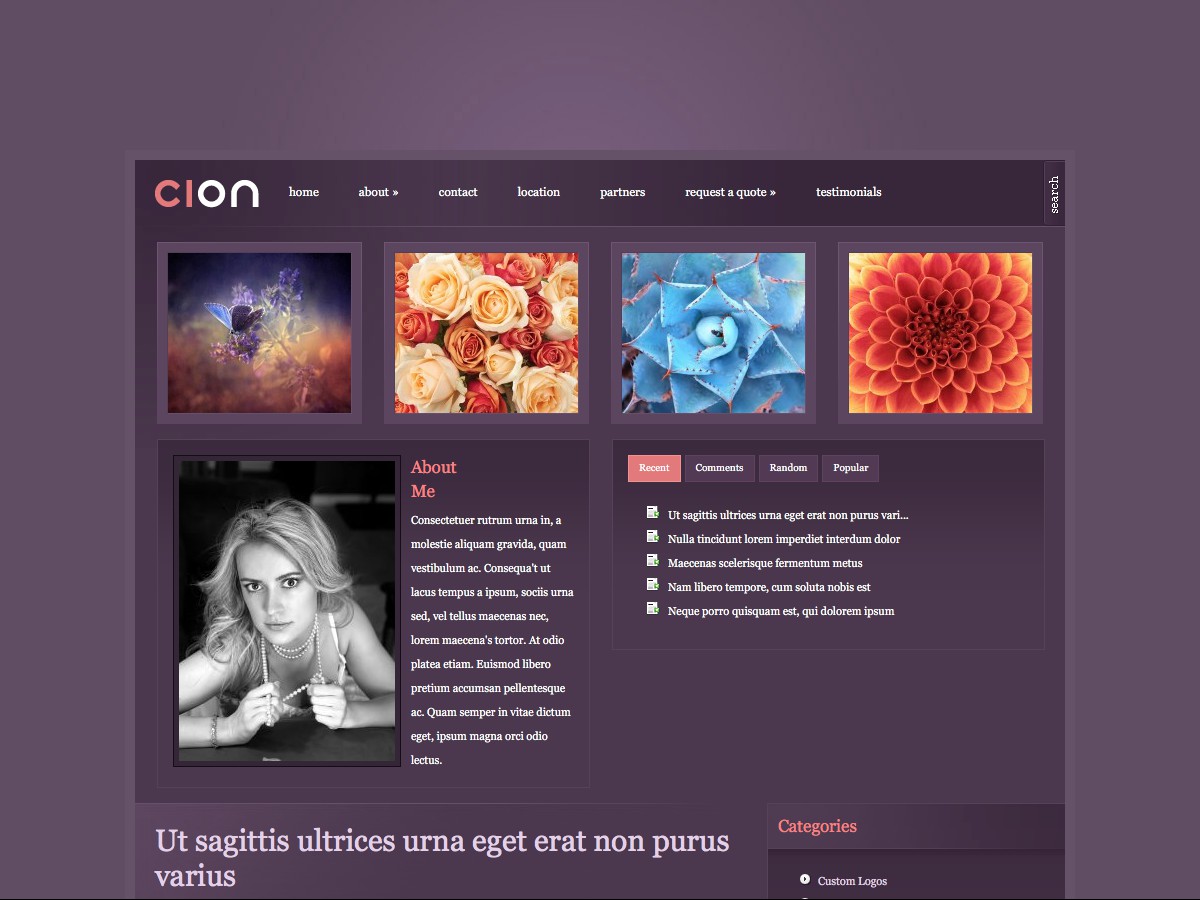 Our WordPress themes - Cion