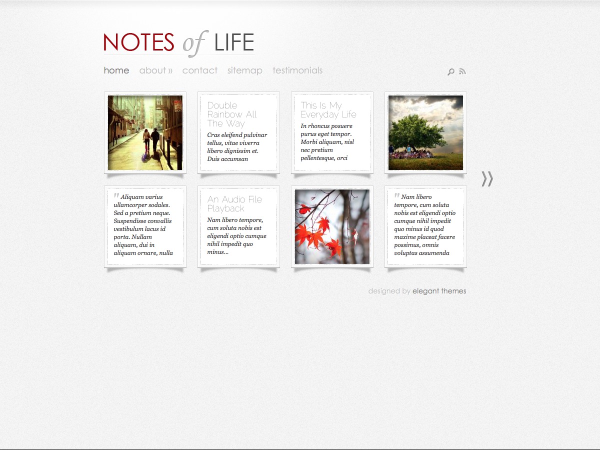 Our WordPress themes - DailyNotes