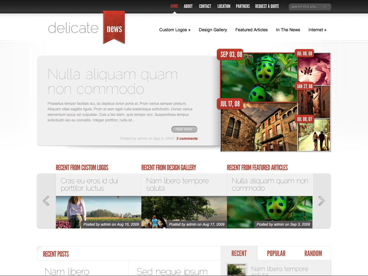 Our WordPress themes - DelicateNews