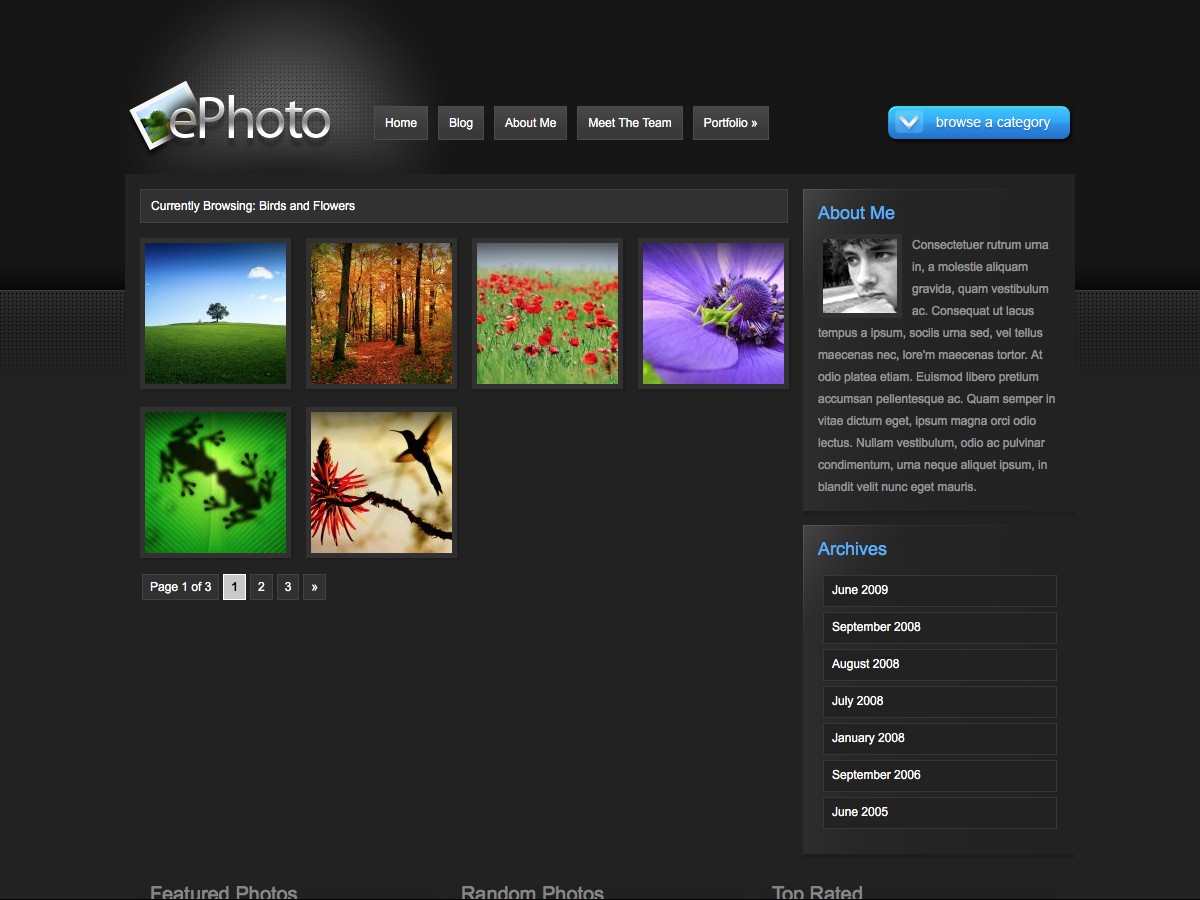 Nuestros temas WordPress - ePhoto