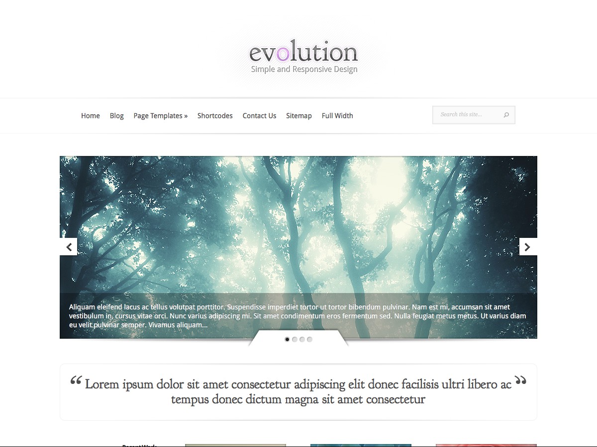 Nos thèmes WordPress - Evolution