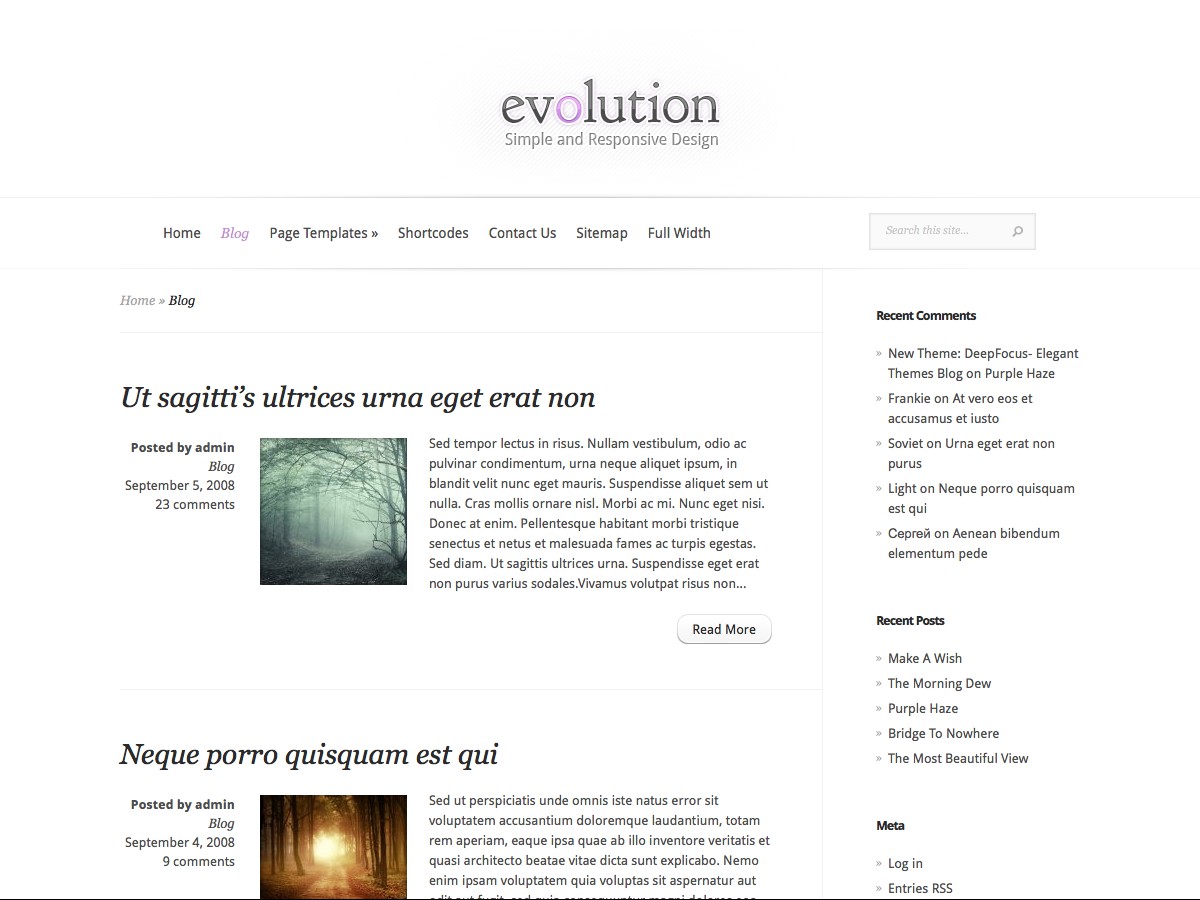 Nuestros temas WordPress - Evolution