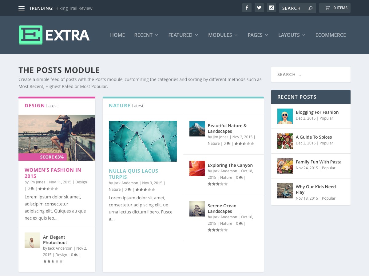 Our WordPress themes - Extra
