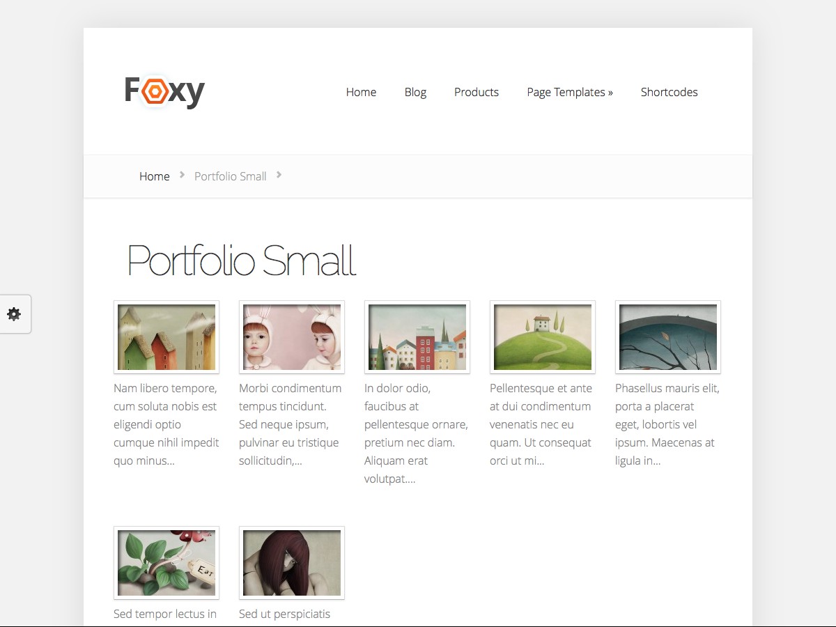 Our WordPress themes - Foxy