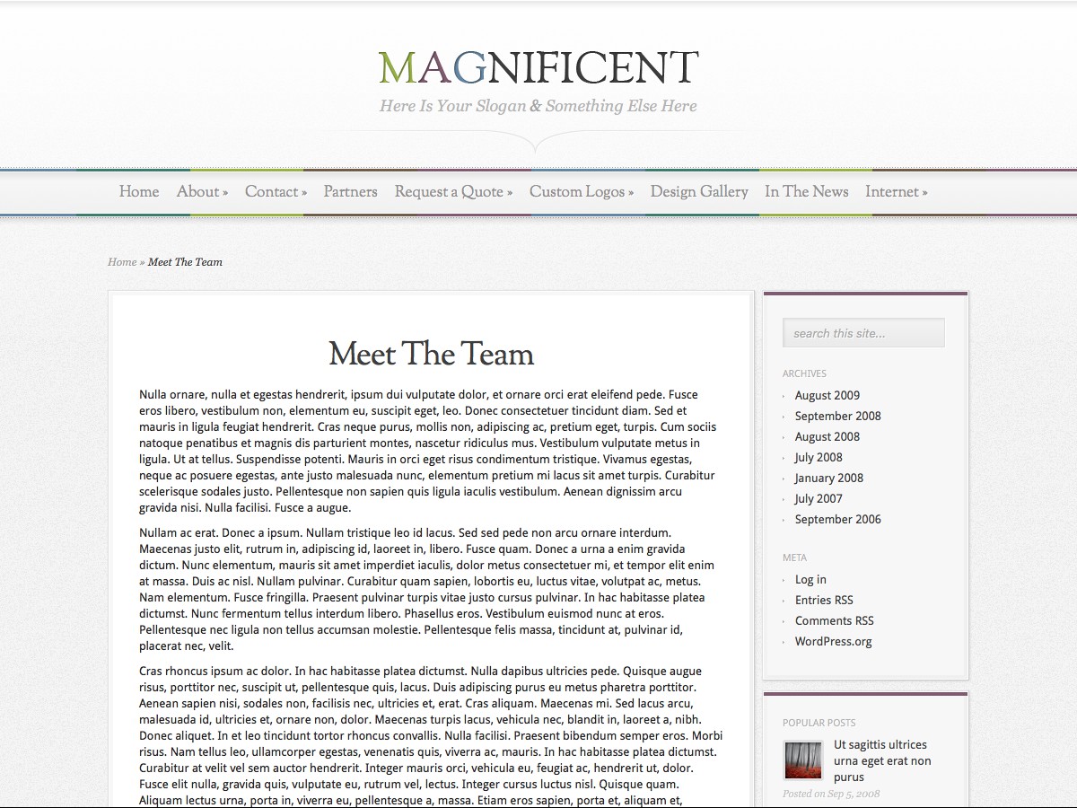Nuestros temas WordPress - Magnificent