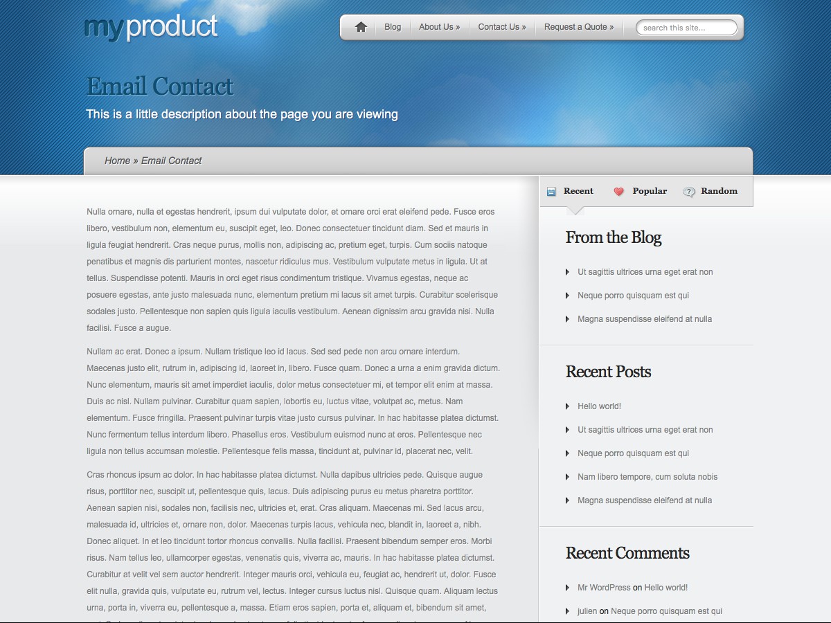 Unsere WordPress-Themes - MyProduct