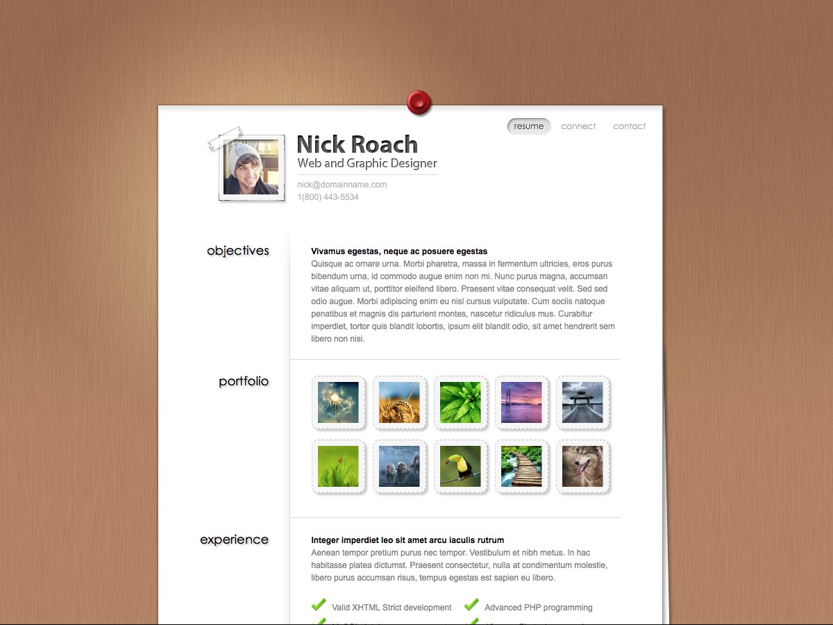 Nuestros temas WordPress - MyResume