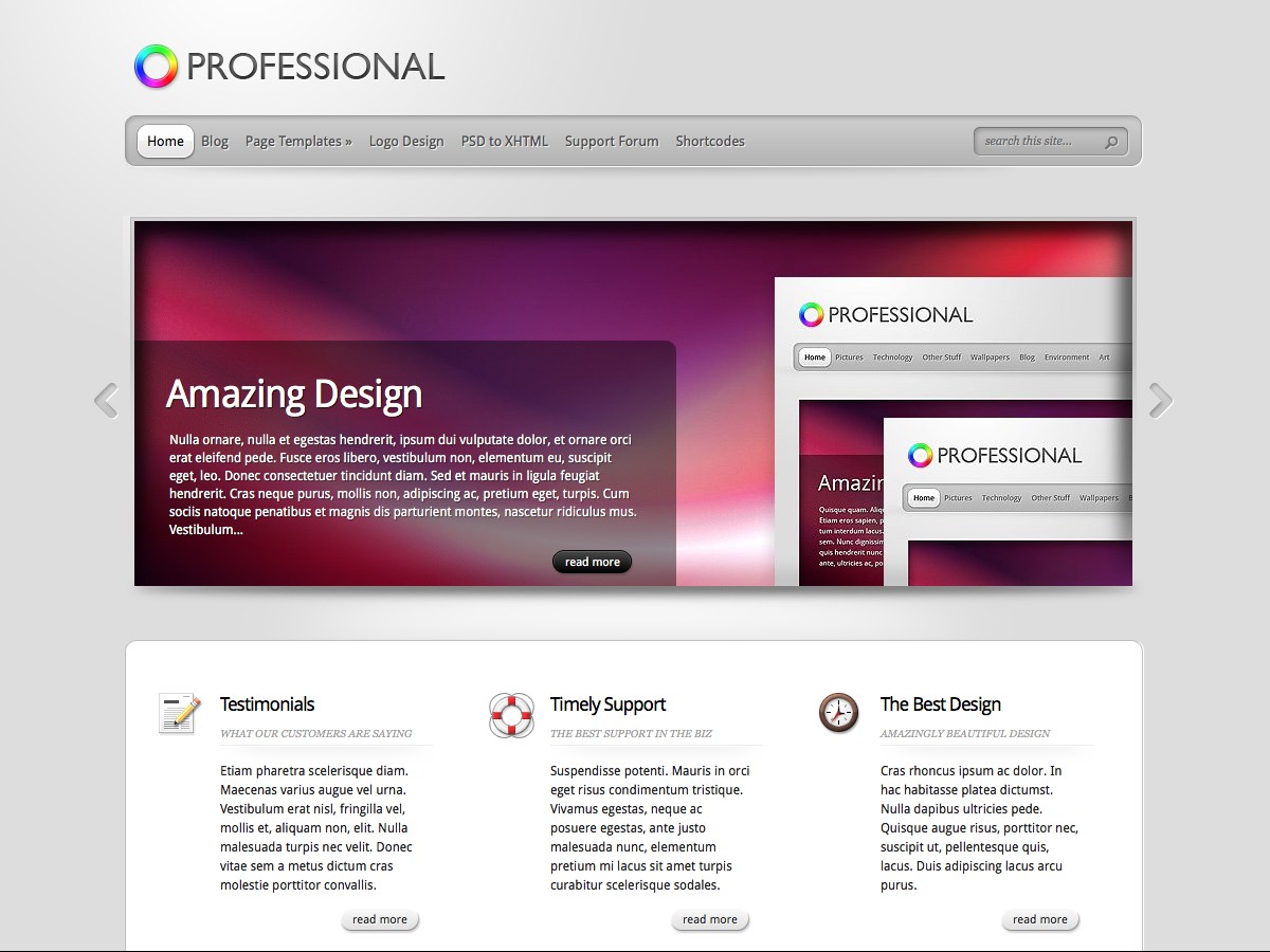 Nuestros temas WordPress - Professional
