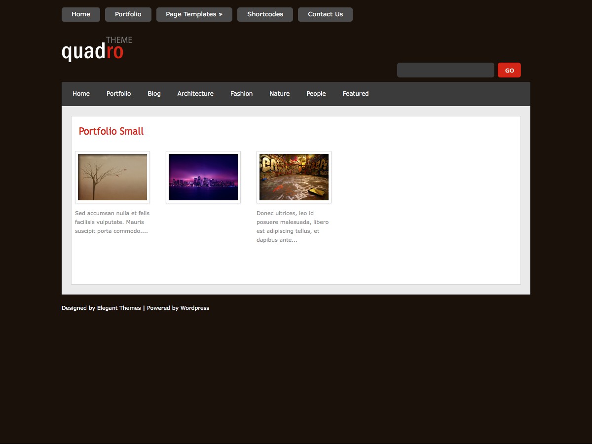 Nos thèmes WordPress - Quadro