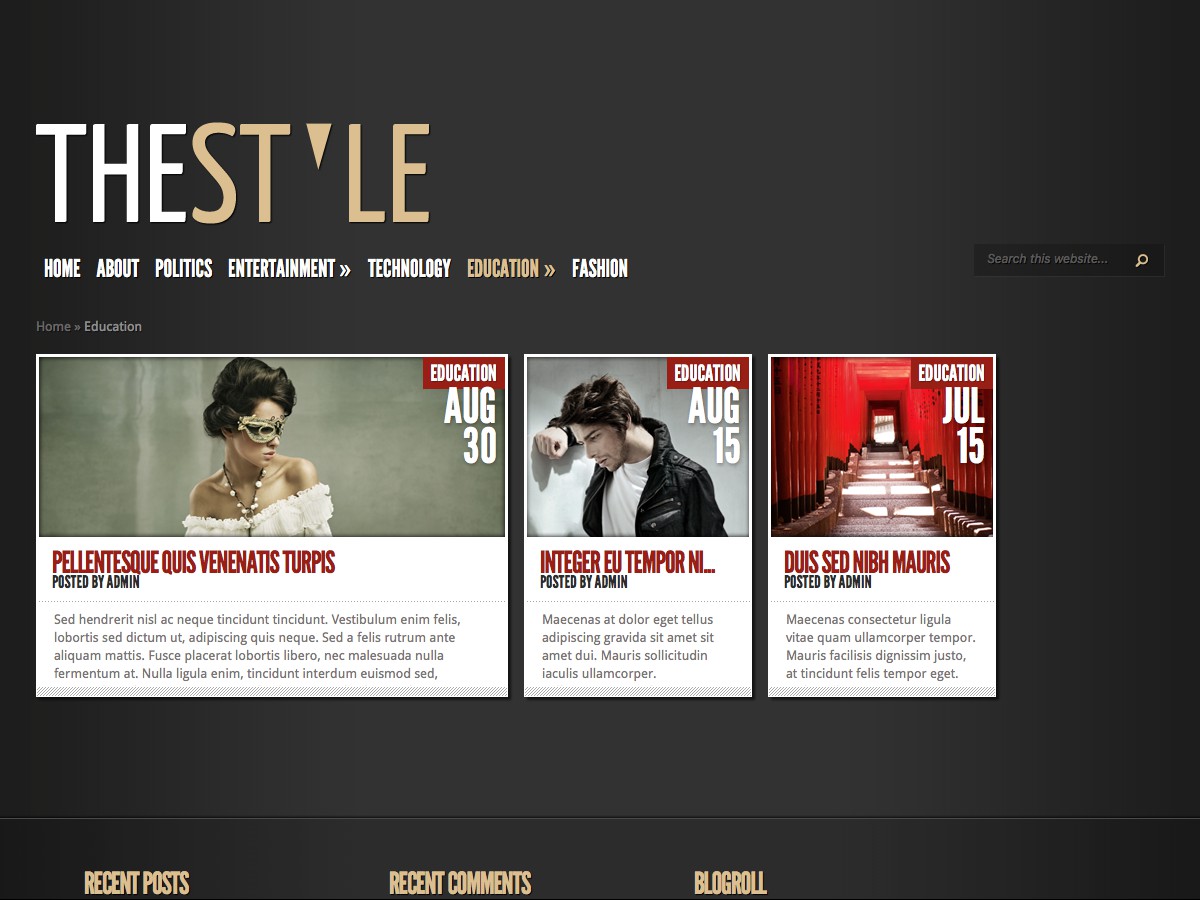 Nuestros temas WordPress - TheStyle