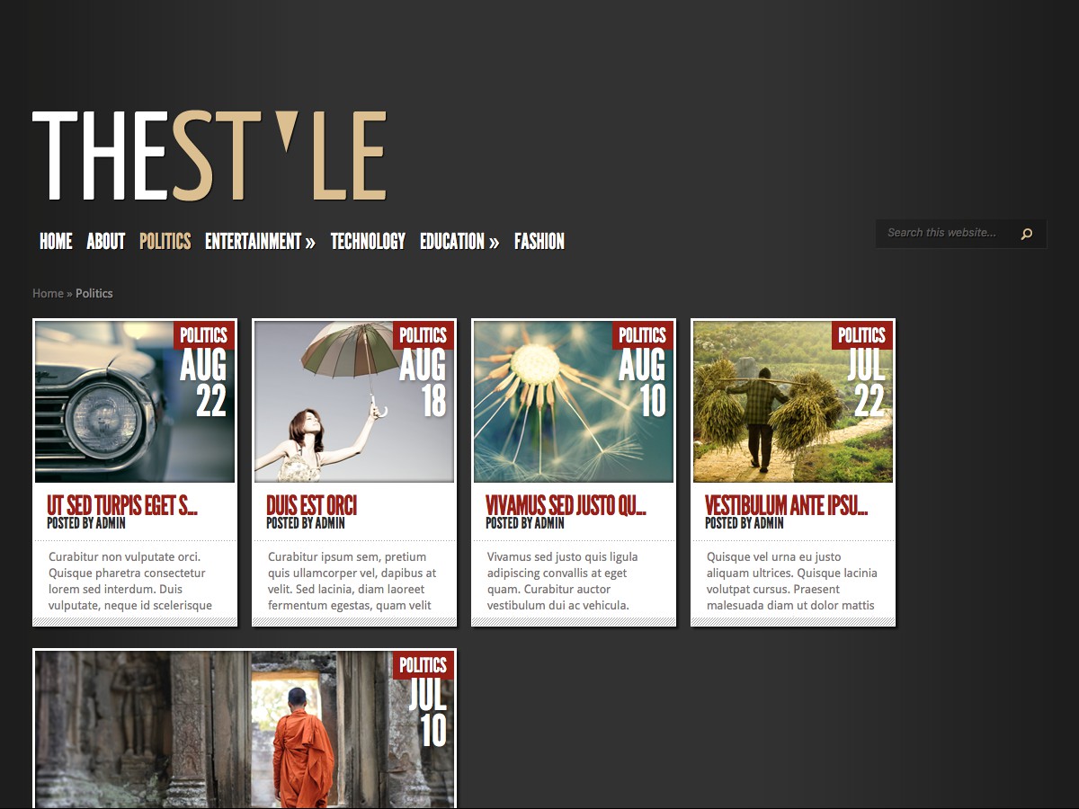 Nuestros temas WordPress - TheStyle