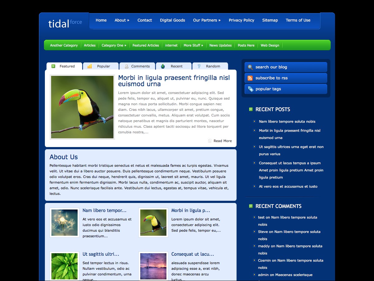I nostri temi Wordpress - TidalForce