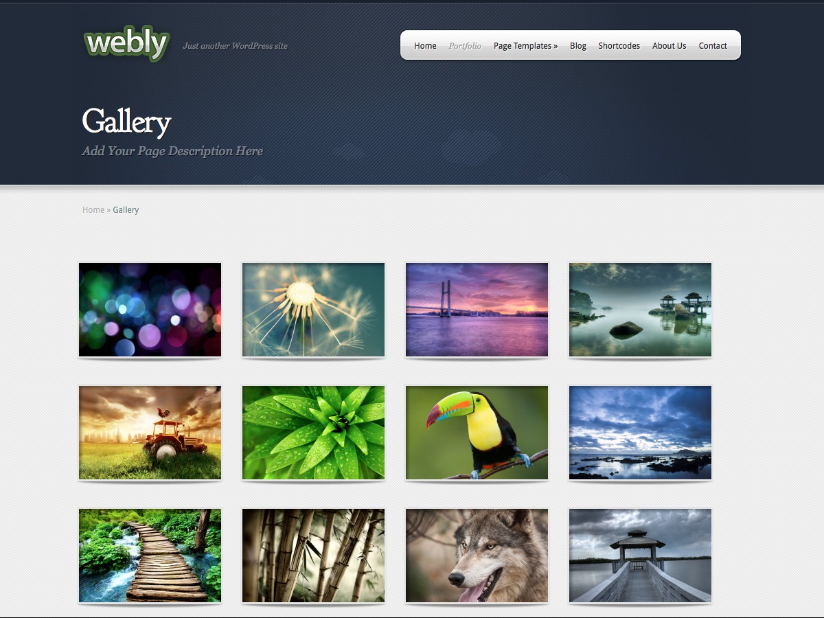 I nostri temi Wordpress - Webly