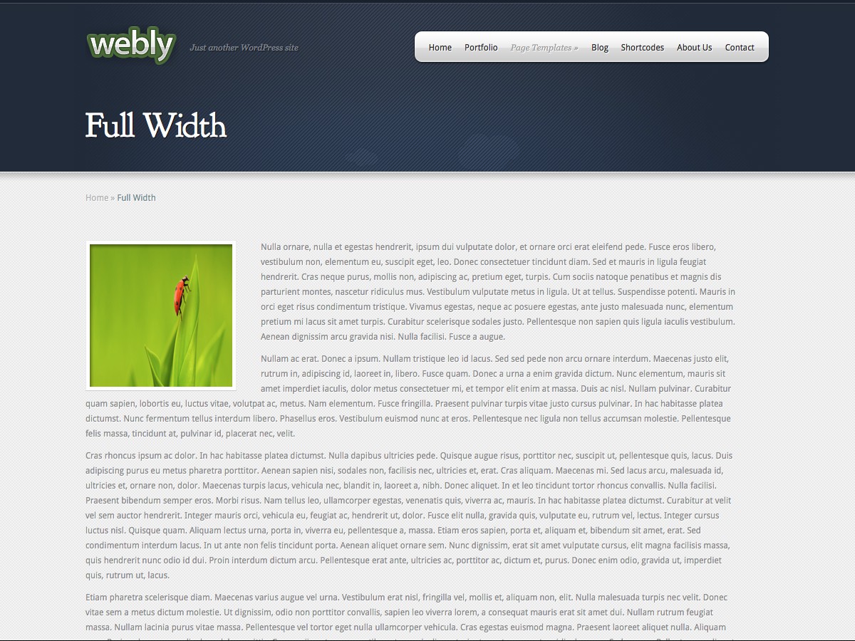 Unsere WordPress-Themes - Webly